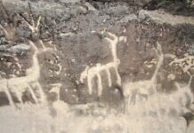 Hallaron dos cuevas naturales con presencia de arte rupestre cerca de Pilo Lil