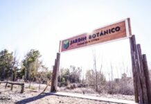 NUESTRO JARDÍN BOTÁNICO INSCRIPTO EN EL REGISTRO DE JARDINES MUNDIALES